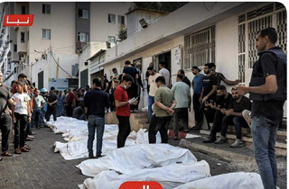 شكرا لأنظمة العهر ...ولشعوب الذل! ( بقلم أ.خضر السبعين )