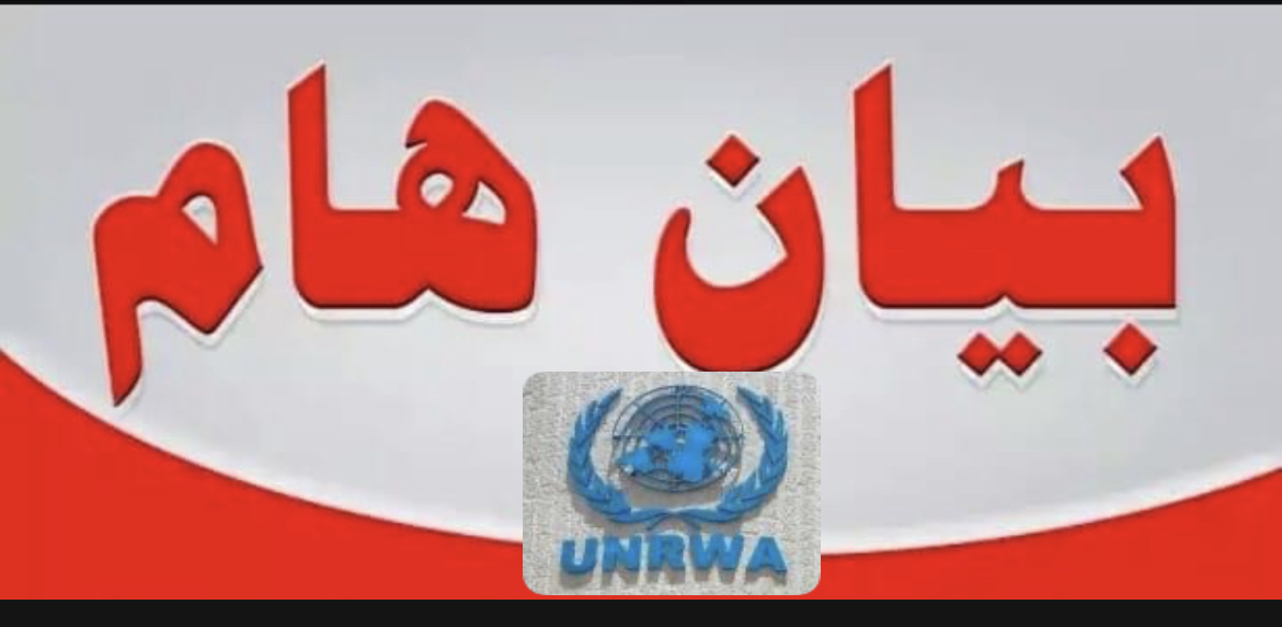 انطلاق عملية مسح المخاطر في مدارس مخيم عين الحلوة