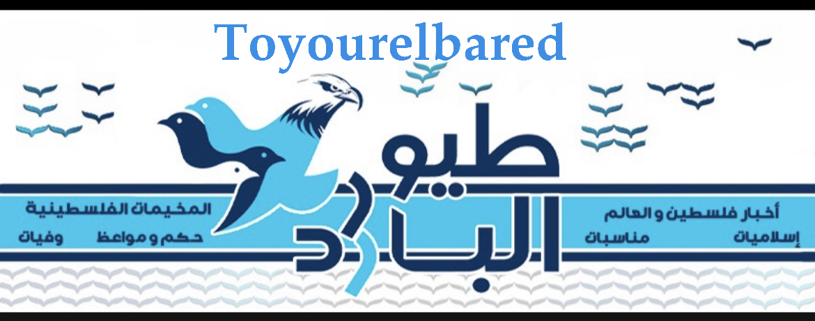 بالأرقام: رسوم السير بعد مضاعفتها*