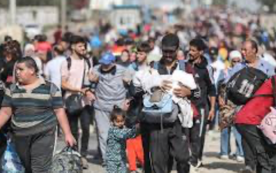 فلسطين تحصد نتائج " طوفان الأقصى " بقلم عمر إبراهيم