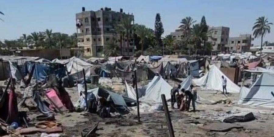 كل العالم مجرم وشريك في ذبح  أهل غزة!