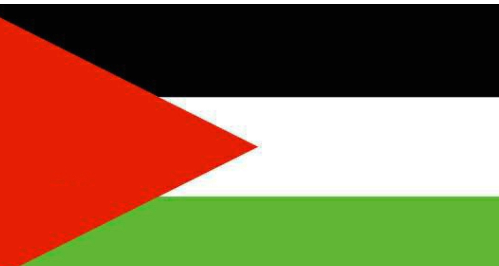 فلسطين شغلت مقعدها الرسمي الجديد في الجمعية العامة للأمم المتحدة