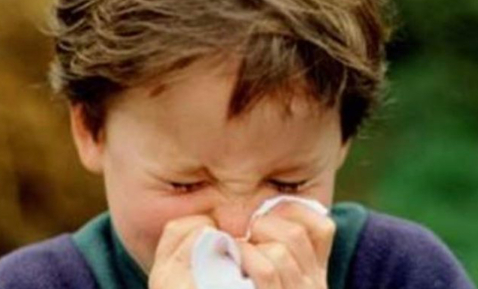 علاج حساسية الأنف بالطرق الطبية والمنزلية