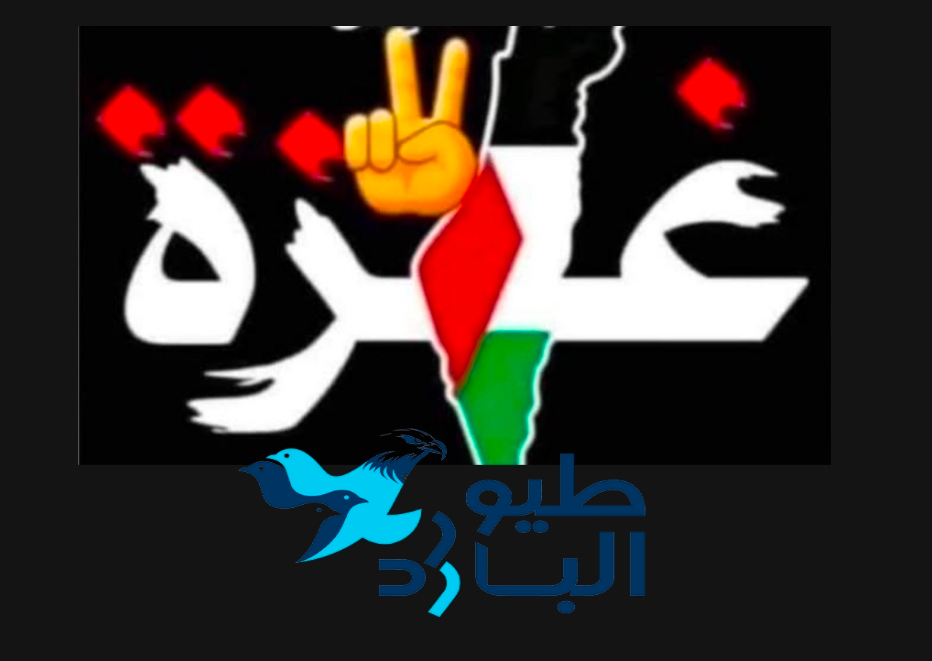 موقع طيور البارد للاعلام" الى جانب غزة "من الألف الى الياء"