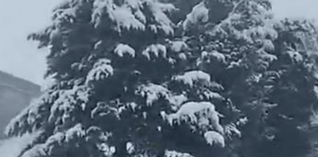 بعد طول انتظار... ثلوج شباط تحتضن لبنان