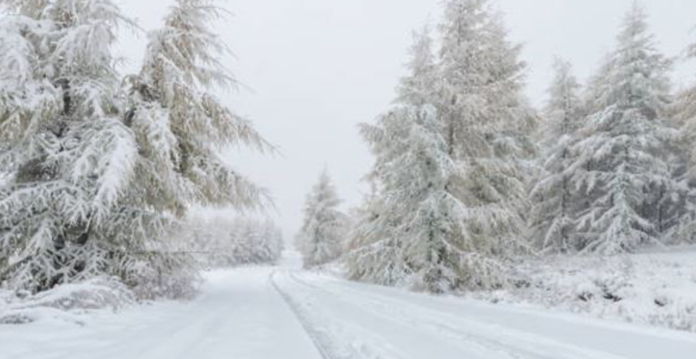 بعد تراكم الثلوج... إليكم الطرقات الجبلية المقطوعة صباح اليوم