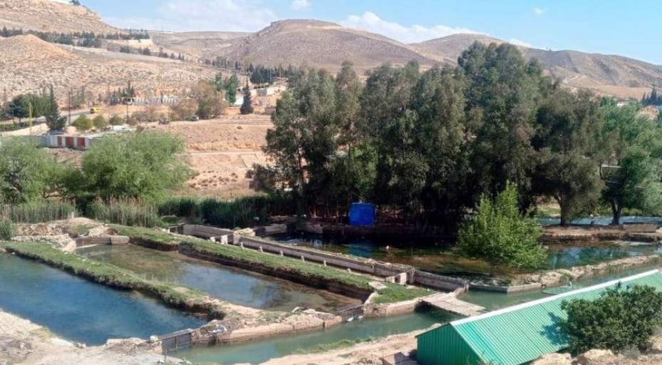 "أسماك نافقة في الاسواق"... والزراعة تتحرّك!