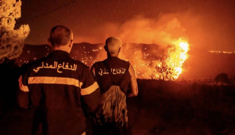 الدفاع المدني يواجه حرائق شاملة: من عكار إلى الجنوب