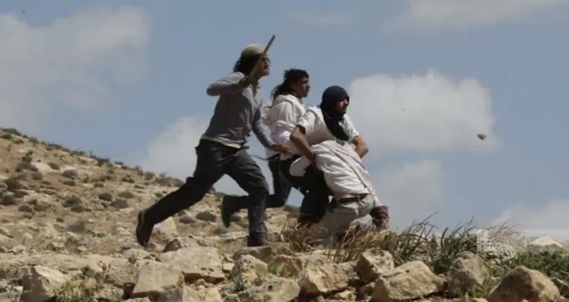 هيئة مقاومة الجدار": المستعمرون نفذوا 443 اعتداءً خلال شهر من الحرب الدائرة