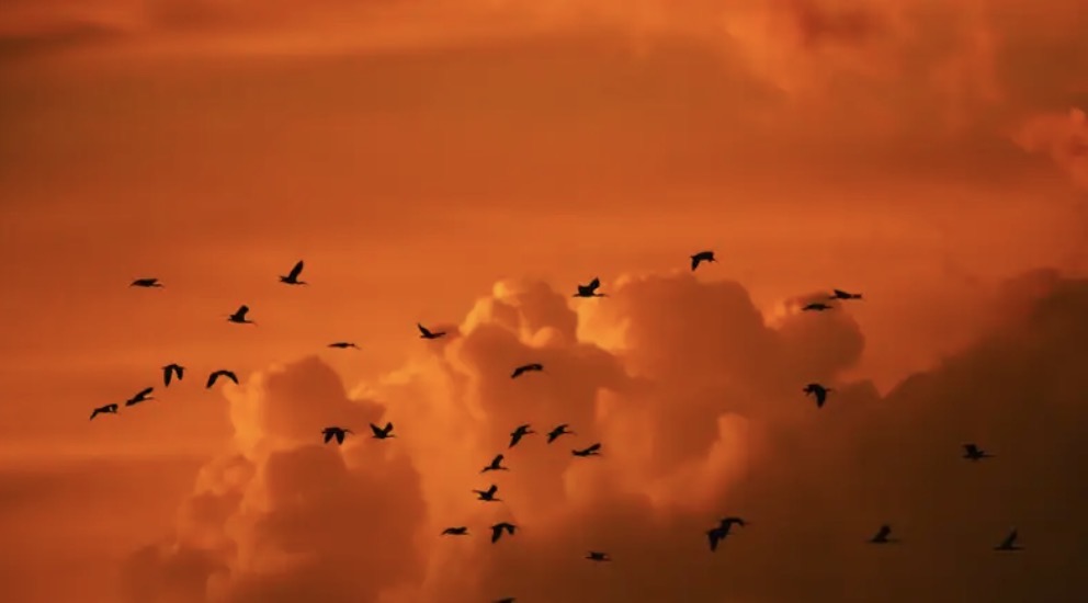 مشهد نهاية العالم في سماء أستراليا!