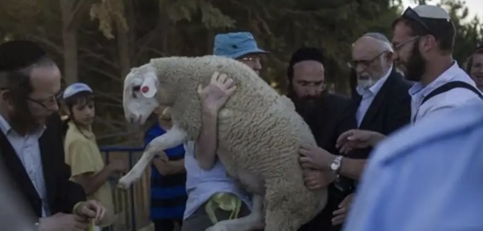 الأعلى منذ 1967... سبع محاولات لإدخال "قرابين" للمسجد الأقصى خلال "الفصح اليهودي" هذا العام