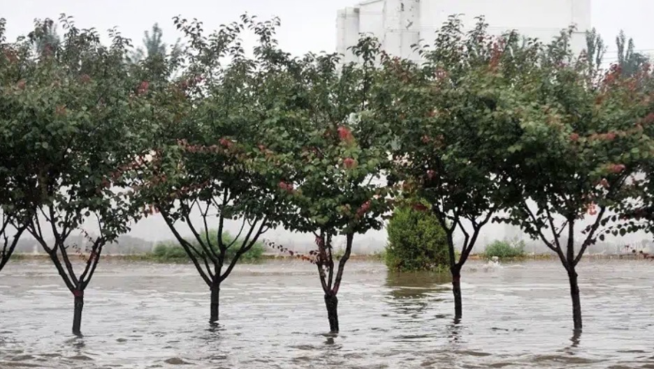 مع ارتفاع الحرارة.. العالم يواجه موجات مطرية أشد خطورة