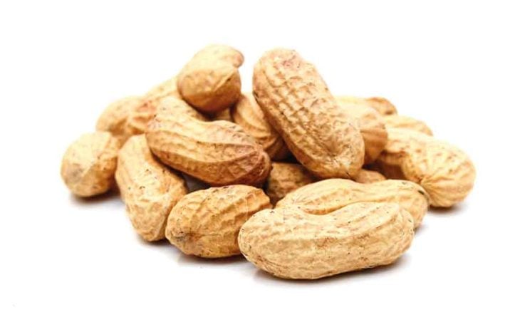 بدلاً من إتلافها… قشور الفول السوداني قد تُستخدم في إنتاج الطاقة قريباً