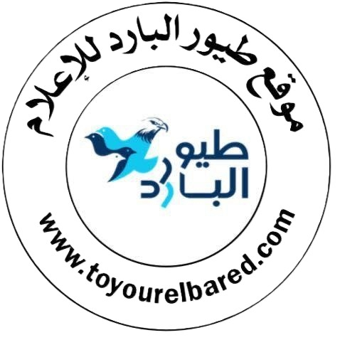 عاجل.. هيئة بحرية بريطانية: إصابة سفينة شحن بمقذوف في مضيق هرمز
