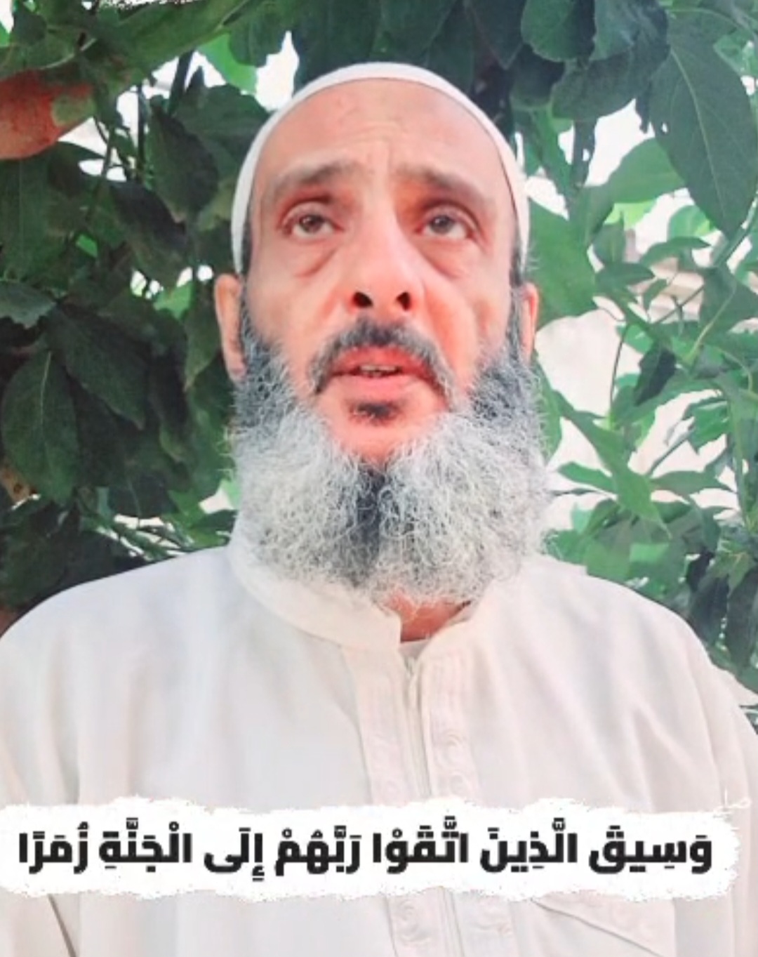 الاستاذ توفيق اسماعيل-المشهدُ مَهِيب والخلود أبدي