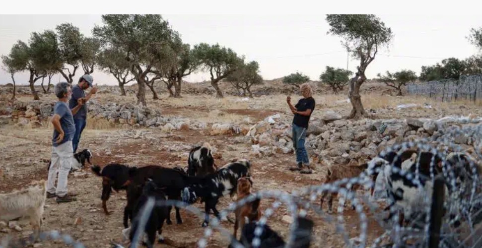 مستعمرون يطوّقون تجمعين بدويين شرق القدس بالأسلاك الشائكة